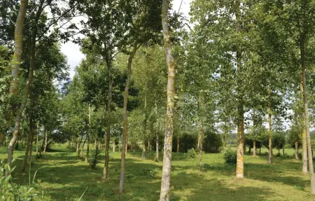 Gite de la Lombardie, Maison 6 personnes à Lottinghen - Photo 9