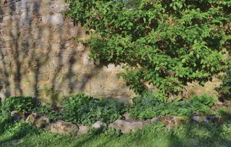 Maison 6 personnes à Moelan sur Mer - Photo 6