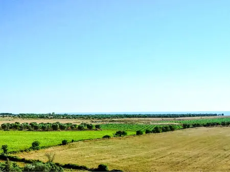 Tenuta Nucci, Villa 10 personnes à Gallipoli - Photo 24