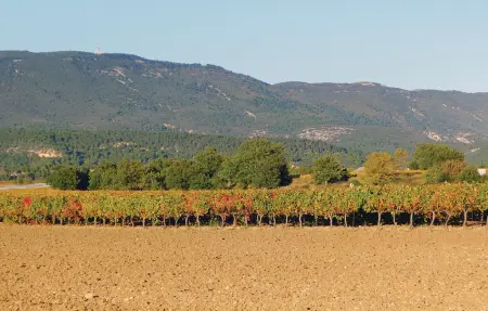 Maison 17 personnes à La Roque D'Antheron - Photo 52
