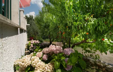 Maison 7 personnes à Podaspilje - Photo 22