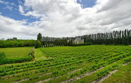 Sublime château avec piscine, Maison 20 personnes à Pont Saint Esprit - Photo 19