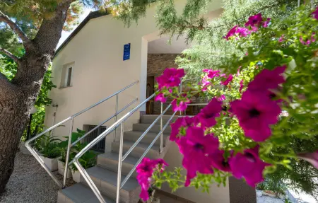 Maison 12 personnes à Starigrad - Photo 16