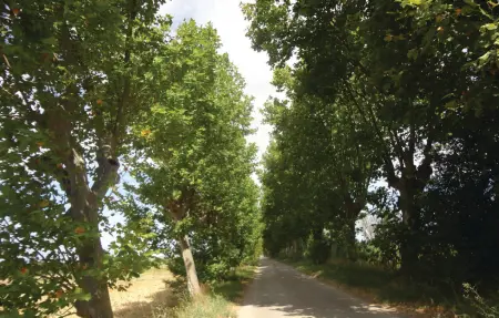 Maison 7 personnes à Narbonne - Photo 9