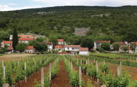 Maison 8 personnes à Vinjani Donji - Photo 12