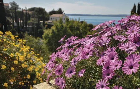Maison 10 personnes à Roquebrune sur Argens - Photo 24