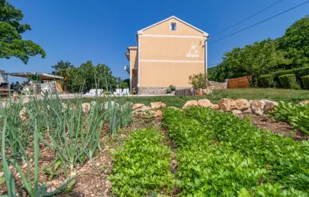 Maison 8 personnes à Grizane - Photo 7