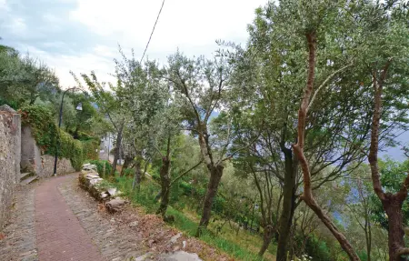 Casa Serena, Maison 8 personnes à Pieve Ligure  GE - Photo 25