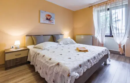 Maison 6 personnes à Segotici - Photo 32