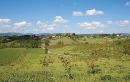 La Capannina, Maison 2 personnes à Siena   SI - Photo 5