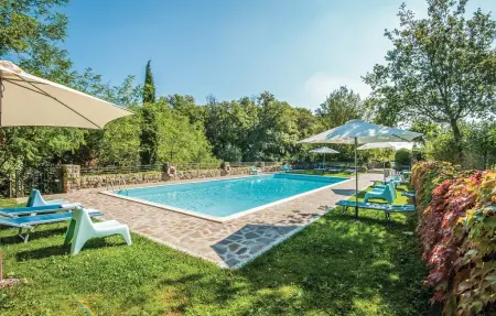 Dahlia, Appartement 4 personnes à Greve In Chianti FI - Photo 4