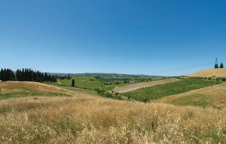 Trebbiano 2, Appartement 5 personnes à Montespertoli (FI) - Photo 12