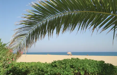 Appartement 3 personnes à Argeles sur Mer - Photo 2