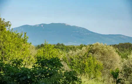 Maison 8 personnes à Buzet - Photo 25