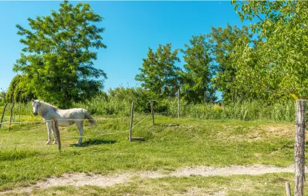 Maison 8 personnes à Plovanija - Photo 42