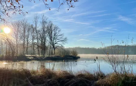 Sonnevijver Vijverdorp-Waterl., Maison 6 personnes à Rekem Lanaken - Photo 13