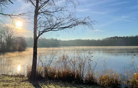 Sonnevijver Vijverdorp-Waterl., Maison 6 personnes à Rekem Lanaken - Photo 14