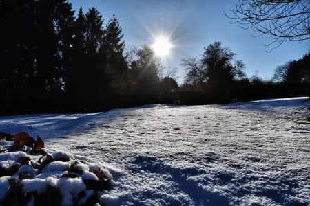 Castarière, Gîte confortable à Durbuy avec jardin - Photo 38