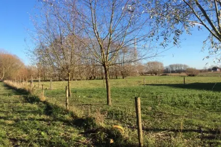 Palissade, Escapade à la campagne à Sint-Amands - Photo 38
