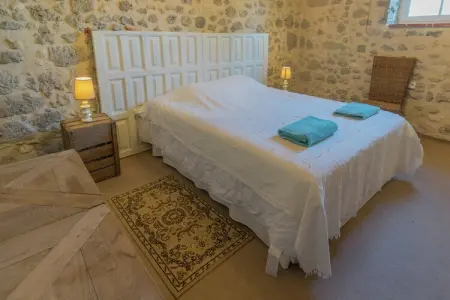 Mas d'Ourbise Penan, Manoir à Fargues avec piscine et jardin - Photo 7