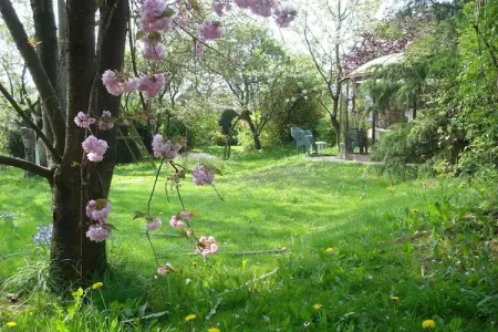 La Belle Jardinière, Maison de vacances à Ronchampay - Photo 31