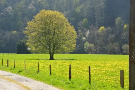 La Grange de Lesse, Maison en Ardennes avec vue rivière et forêt - Photo 10