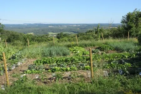 Maison Failte, Séjour au Domaine Saint-Médard - Photo 30