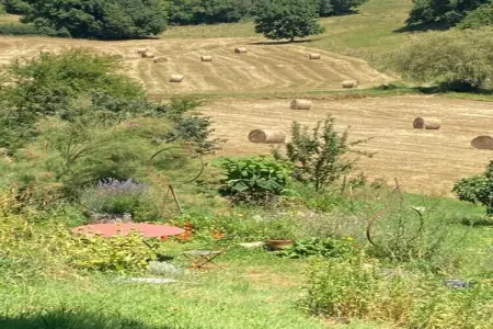 Maison Failte, Séjour au Domaine Saint-Médard - Photo 35