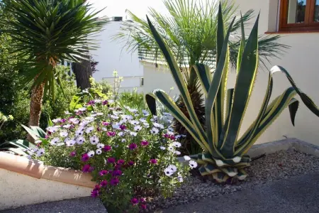 Les Bassetes, Villa paisible avec piscine privée - Photo 26