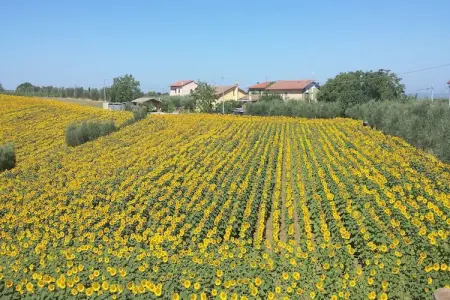 Sparsa Girasole, Charme rustique, confort moderne - Photo 5