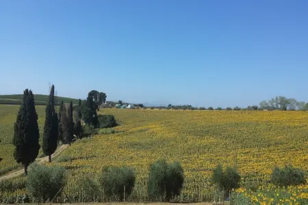 Sparsa Girasole, Charme rustique, confort moderne - Photo 13