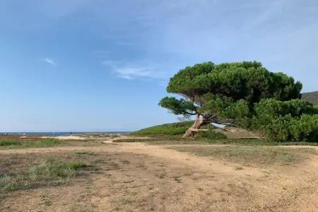 Résidence-Club les Villas Bel Godère 1, Lozari Confort au bord de la mer - Photo 24