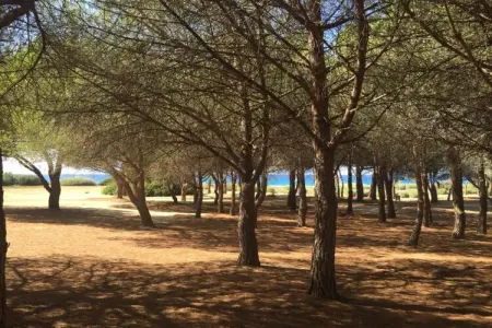 Résidence-Club les Villas Bel Godère 1, Lozari Confort au bord de la mer - Photo 27