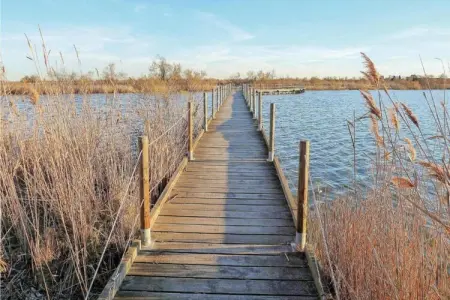Résidence le Mas des Flamants 2, Maisonette à Aigues-Mortes près des flamants - Photo 12