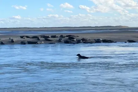 Résidence les Villas de la Baie 1, Spacieux appartement côtier avec jardin - Photo 32