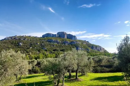 Résidence Le Mas des Alpilles 2, Maison de campagne confortable aux Alpilles - Photo 23