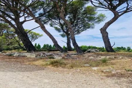 Rèsidence Le Mas des Alpilles 1, Appartement à Le Paradou avec piscine & sauna - Photo 35