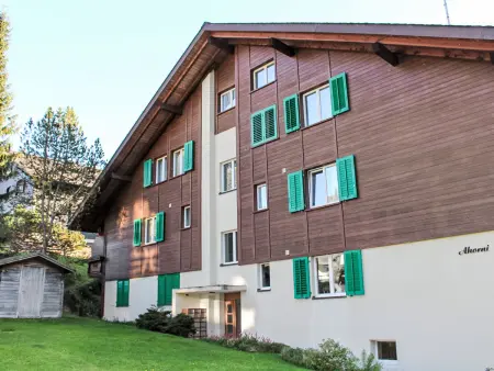 Rehli, Appartement 4 personnes à Beatenberg - Photo 17