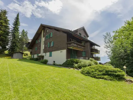 Rehli, Appartement 4 personnes à Beatenberg - Photo 24