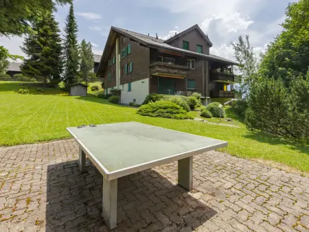 Rehli, Appartement 4 personnes à Beatenberg - Photo 28