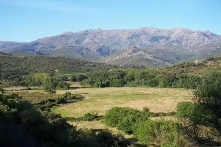 Résidence Casa d'Orinaju 3, Appartement en Corse proche plages - Photo 28