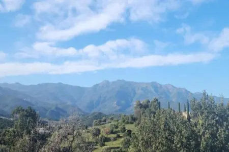 Résidence Casa d'Orinaju 3, Appartement en Corse proche plages - Photo 31