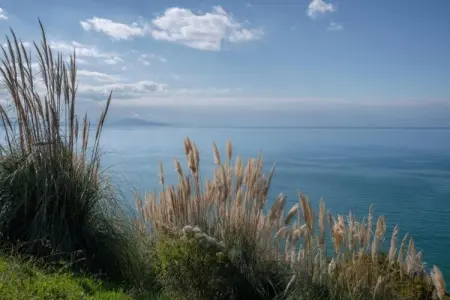 Résidence L’Orée de Milady 2, Villa basque avec jardin - Photo 21