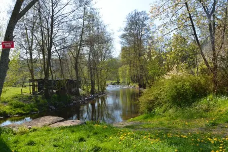 Unité, Maison à Houyet avec sauna et jardin - Photo 20