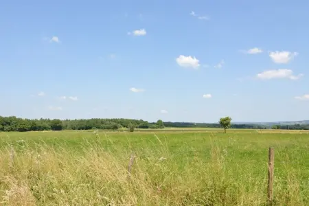 La Grange de Marcel, Maison à Somme-Leuze avec Sauna et Jardin - Photo 16
