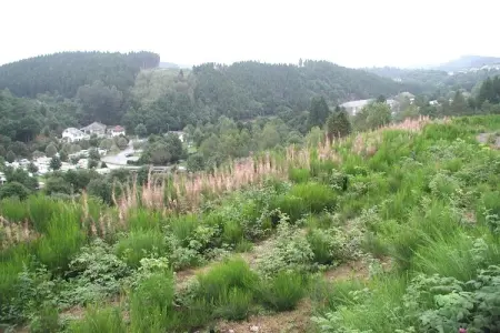Les Jardins de l'Ourthe 16, Maison à Houffalize avec Vue sur la Vallée - Photo 12