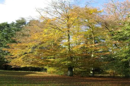 Les Jardins de l'Ourthe 16, Maison à Houffalize avec Vue sur la Vallée - Photo 16