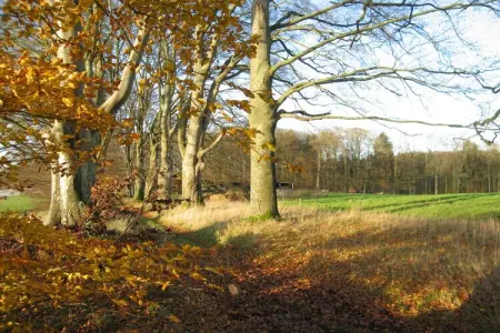 Les Jardins de l'Ourthe 16, Maison à Houffalize avec Vue sur la Vallée - Photo 17