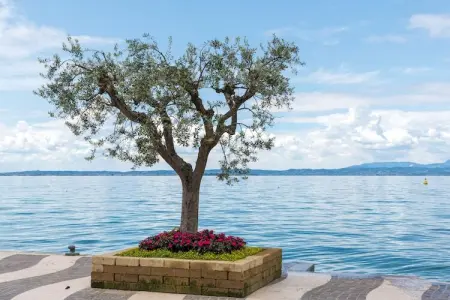 Chiara Dodici, Maison à Lazise près du lac de Garde - Photo 34
