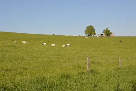 A cote de l'epicerie, Maison en pierre à Durbuy avec sauna et vue - Photo 24